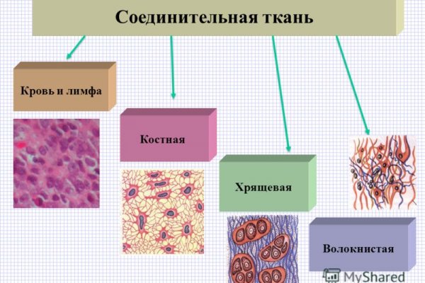 Как поменять деньги на биткоины на меге