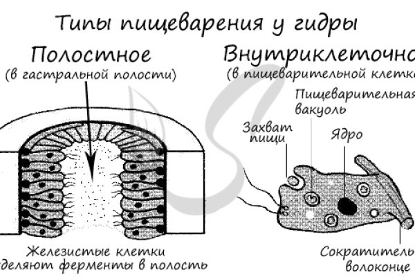 Kraken зеркала крамп.cc