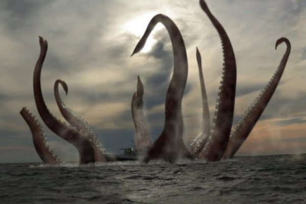 Kraken зеркала моментальных