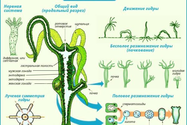 Как загрузить фото в мегу